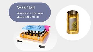 Analysis of surfaced attached biofilms