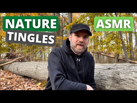 ASMR - Nature Walk Sounds - Relaxing Public ASMR In the Woods
