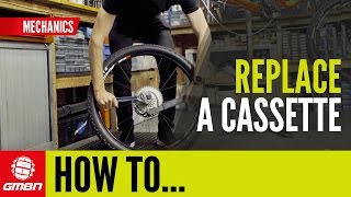 Celebrity How To Replace Your Cassette | MTB Tech Wealth