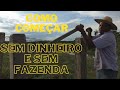 Renda com Pecuária | Como Comecei do Zero Sem Fazenda e Sem Dinheiro?