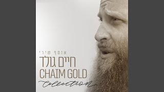 Video thumbnail of "Chaim Gold - ווי נאר איך שטיי"