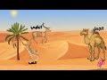البيئة الصحراوية