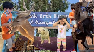 سنود ونتالي طعمو الحيوانات ولعبو معهم شوفو مين الي خاف من القرد🤣!!!؟؟؟؟