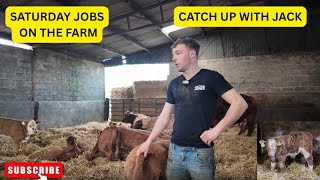 SATURDAY ON THE FARM WITH JACK