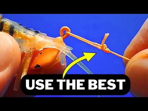BEST Way to