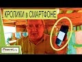 Зачем в крольчатнике смартфон? Я расширил возможности Макрол-КейТайм ПК.