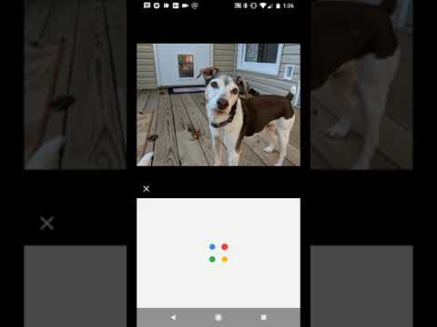 Previous Google Lens animation in Photos - Previous Google Lens animation in Photos