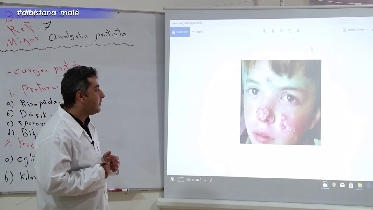 Refa7 -Zanyarî- Beşa2- Qiralgeha Protîsta