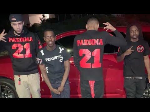 Pacoima Piru Bloods Vs 5 Different Hoods