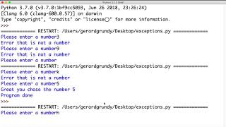 Python Day 21 Challenge   Try except Net Worth