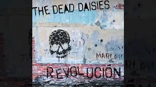 Video thumbnail of "The Dead Daisies - Cirital"