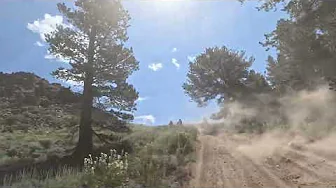Mt.Patterson: 2-3 miles from Lobdell Lake, East Fork Desert creek crossing, Trail ascends