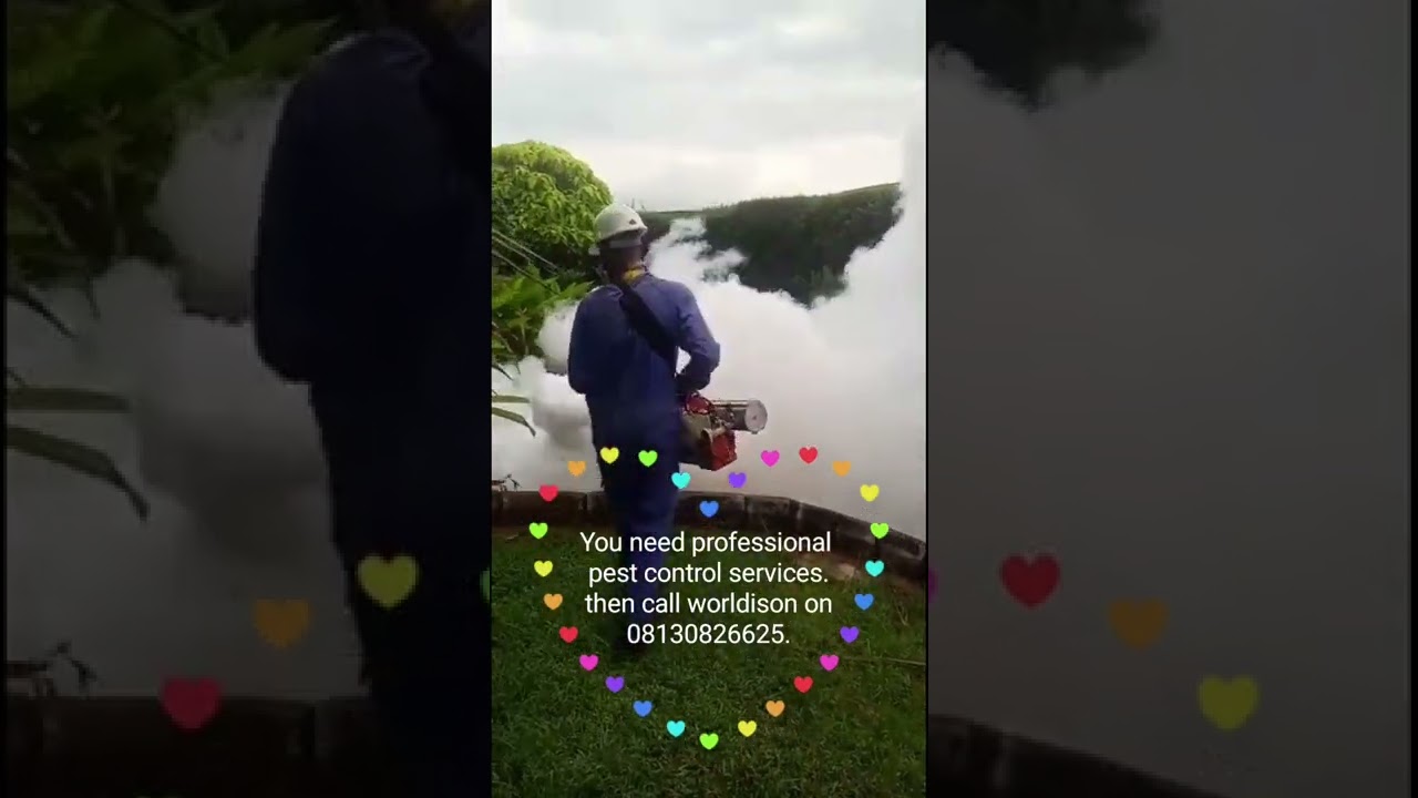 professional fumigation services  for home, offices , church and company