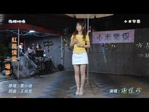 謝桂珍 ~ 紅塵情愛一場夢   ( 袁小迪   歌曲 )  街藝  謝桂珍 演唱   2026.10.8  ( 小米樂團 : 珍心珍藝 )  中央廣場   ~海豚映像~