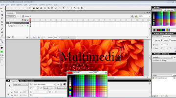 How to give masking in flash 8 | By Sejal Vaghela