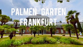 Palmengarten in Frankfurt- Summer 2023 (4k)