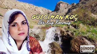 Gülcihan Koç - Bir Kuş Konmuş [ Dertli Duygulu Türkü] Köy Manzaralı Video