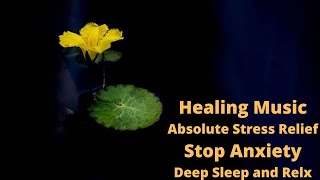 Healing Music Absolute Stress Relief Stop Anxiety Deep Sleep and Relax by Round The World 14 views 1 year ago 3 hours