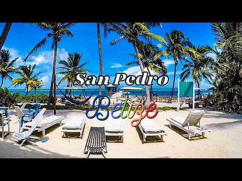 Video Watch this before you visit San Pedro, Ambergris Caye... - youtube