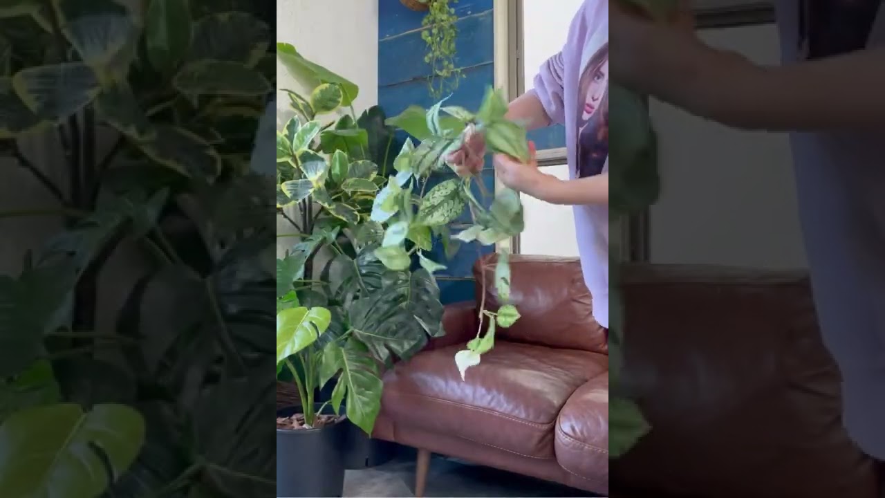 垂れるスキンダプサス|おしゃれなフェイクグリーン・人工観葉植物通販