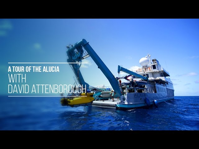 A Tour of the Alucia with David Attenborough - attenboroughsreef.com 