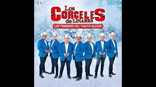 Los Corceles de Linares - Huapango San Felipe 🤠 2018 chords