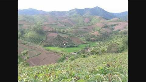 tiếng nùng kể lại chuyện ngày xưa đi rừng