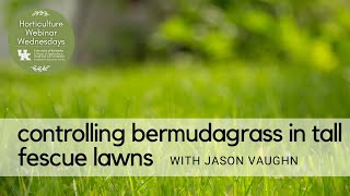 Controlling Bermudagrass in Tall Fescue by Horticulture Webinar Wednesday 486 views 10 months ago 20 minutes