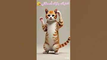 صداع صداع جتني دوخة Cat مياو Babyandcat Cutestvideos Funny بسة 