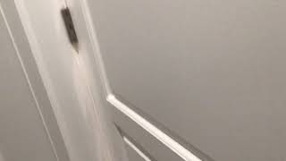 Elevator At Beach House