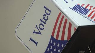 Early voting for special Senate primary election underway in South Carolina