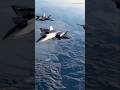 why europe 6th generation fighter is near collapse😱#aircraft#fcas#european#fighterjet#shorts#defense