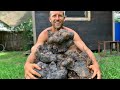 Wild Yam Hunting: 157 Pounds of Free Food!