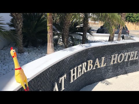 Video: Kiparski Hoteli S Privatnom Plažom: Pregled