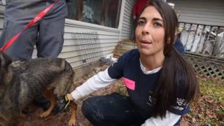 BC SPCA Speaking For Animals by Claire Weng, Crystal Jiang, and Brent Webster BC SPCA Speaking For Animals by Claire Weng, Crystal Jiang, and Brent Webster