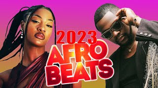May-June Video Mix 2023 L Afropiano Best Video Mix