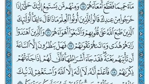 سورة محمد مكتوبة - سعد الغامدي