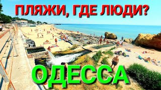 Одесский пляжи. Лето 2023. Запрет купания. Одесса сегодня. Набережная. Черное море. Отрада. #зоотроп