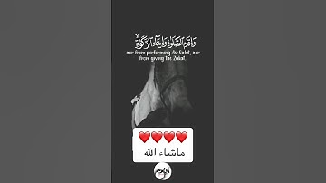 { فِي بُيُوتٍ أَذِنَ اللَّهُ أَن تُرْفَعَ وَيُذْكَرَ فِيهَا اسْمُهُ } تلاوة الآية 36 - 38 سورة النور