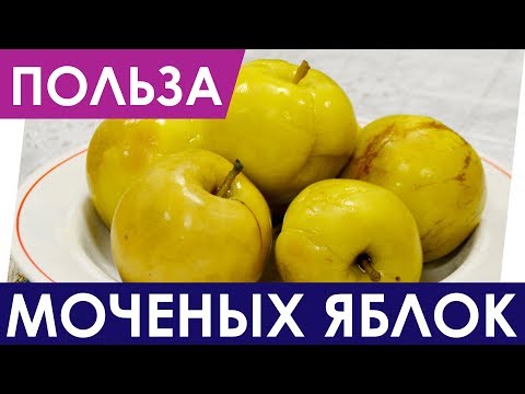 Польза моченых яблок. Как правильно их мочить?