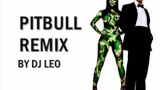 Dj Leo - Pitbull Mix