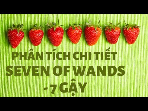 Video TỰ HỌC TAROT - Seven of Wands/7 Gậy - Hướng Dẫn Chi... - youtube