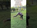 👉 "90% लोग ये 3 एक्सरसाइज मिस करते हैं 😳"👉 "Body को सही बनाना है? ये 3 जरूर करो!" #fitness #workout