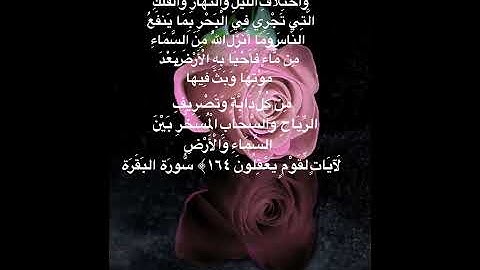 #خلفيات #دينية #سورة #البقرة #آية 164