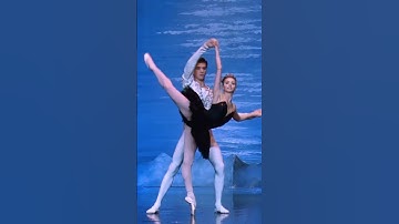 Thumbnail of Russian ballet, black swan dance, swan lake ballet