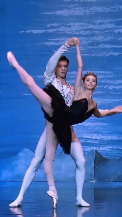 Russian ballet, black swan dance, swan lake ballet