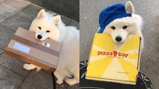 Send Your Cutest Delivery Girl