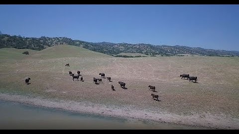 The Power of Data: Improving the Management of Rangeland Ecosystems