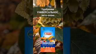 Универсальное осеннее удобрение - для всех растений с саду #осенееудобрение