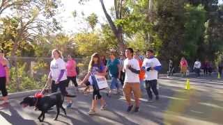 Information Join the Mutt Strut! Guide